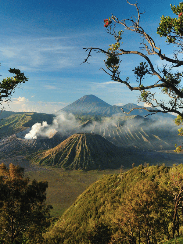 Wisata Bromo